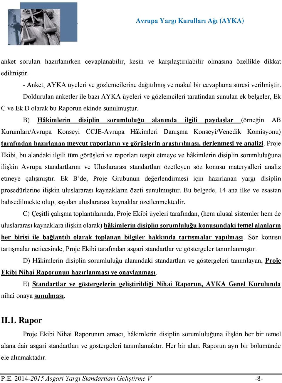 Doldurulan anketler ile bazı AYKA üyeleri ve gözlemcileri tarafından sunulan ek belgeler, Ek C ve Ek D olarak bu Raporun ekinde sunulmuştur.