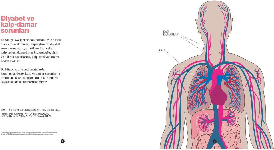 KALP KAN DAMARLARI Bu kitapçık, diyabetli hastalarda karşılaşılabilecek kalp ve damar sorunlarını tanımlamak ve bu sorunlardan korunmayı sağlamak amacı ile hazırlanmıştır.