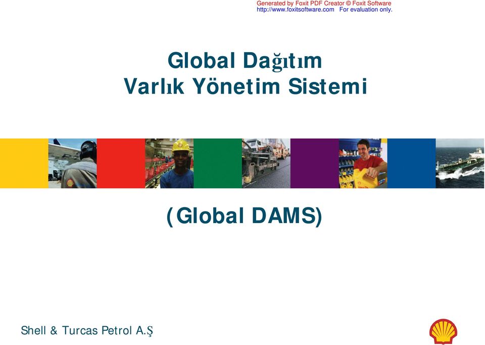 Varlık Yönetim Sistemi (Global