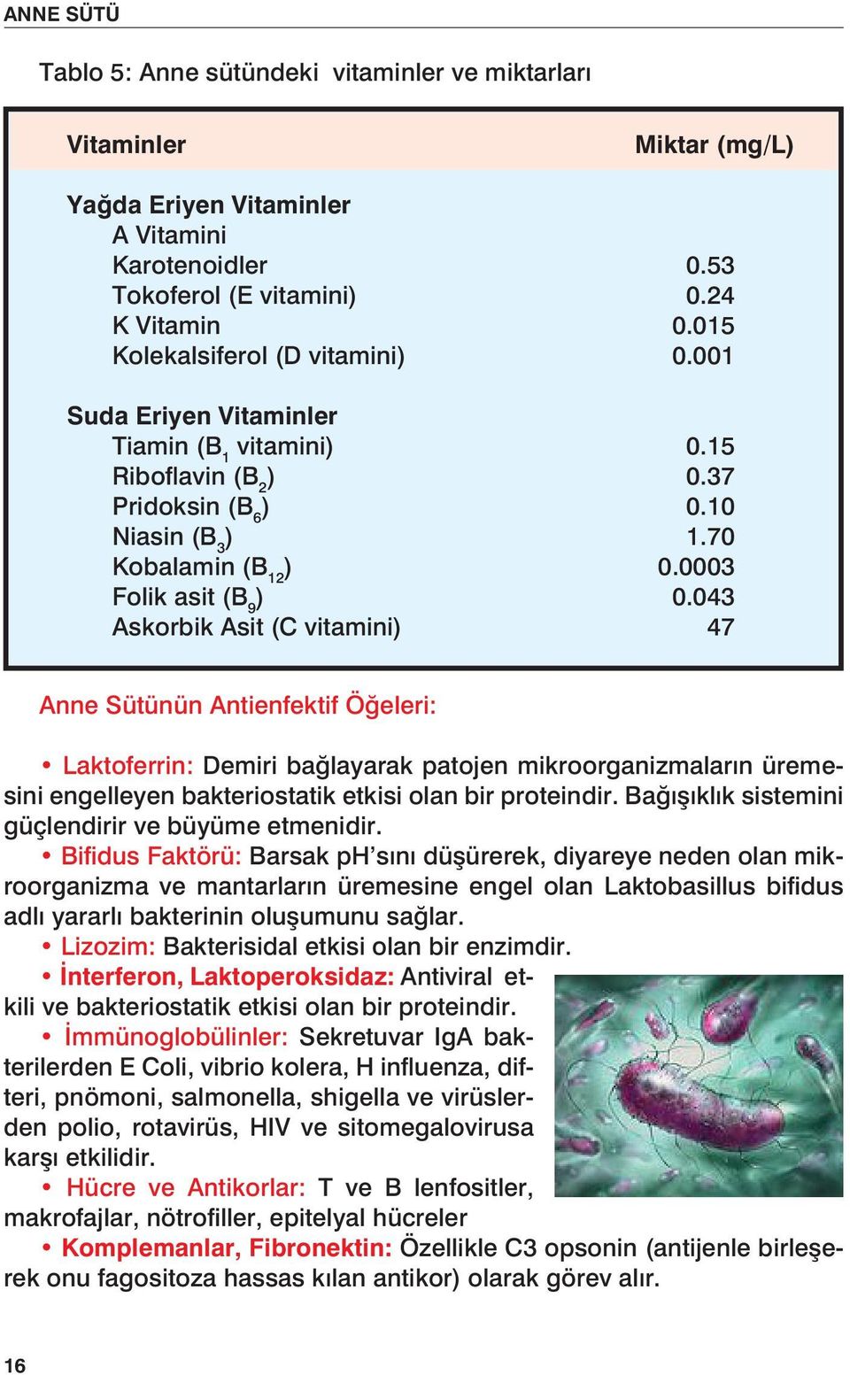 043 Askorbik Asit (C vitamini) 47 Anne Sütünün Antienfektif Öğeleri: Laktoferrin: Demiri bağlayarak patojen mikroorganizmaların üremesini engelleyen bakteriostatik etkisi olan bir proteindir.