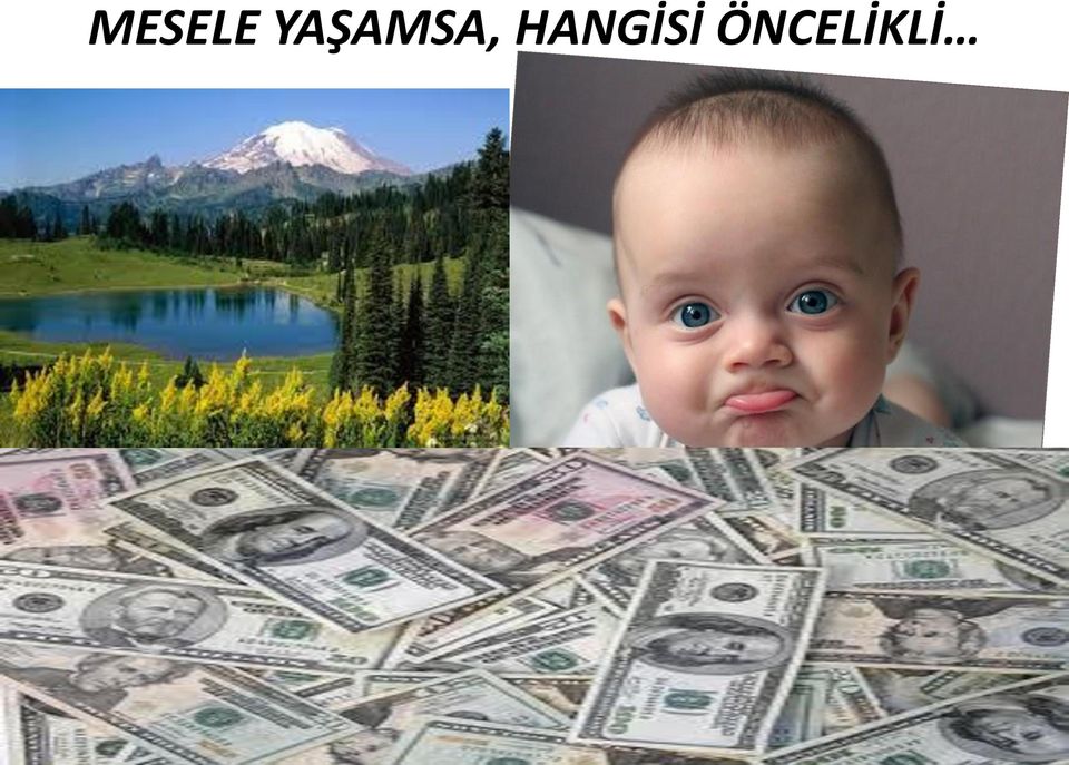 HANGİSİ