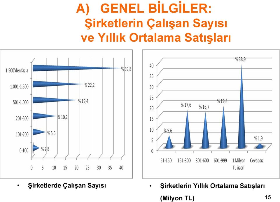 Şirketlerde Çalışan Sayısı Şirketlerin