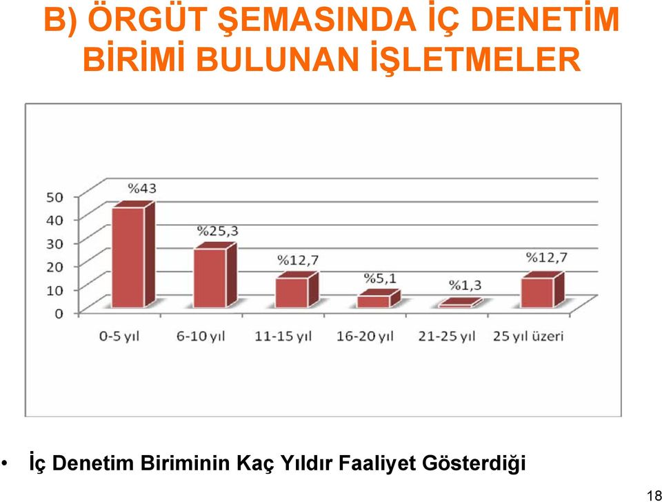 İŞLETMELER İç Denetim