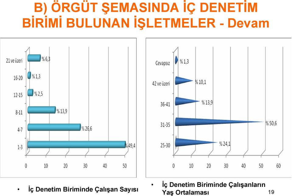 Biriminde Çalışan Sayısı İç Denetim