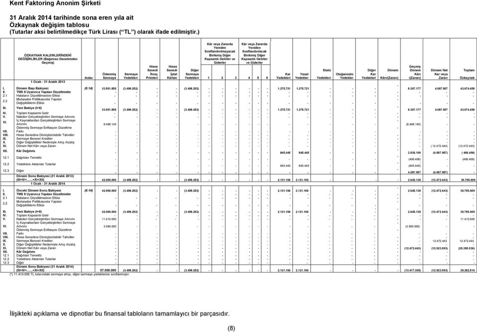 Sınıflandırılacak Birikmiş Diğer Kapsamlı Gelirler ve Giderler Hisse Senedi Hisse Senedi Diğer Statü Diğer Dönem Geçmiş Dönem Dönem Net Toplam Notlar Ödenmiş Sermaye Sermaye Yedekleri İhraç Primleri