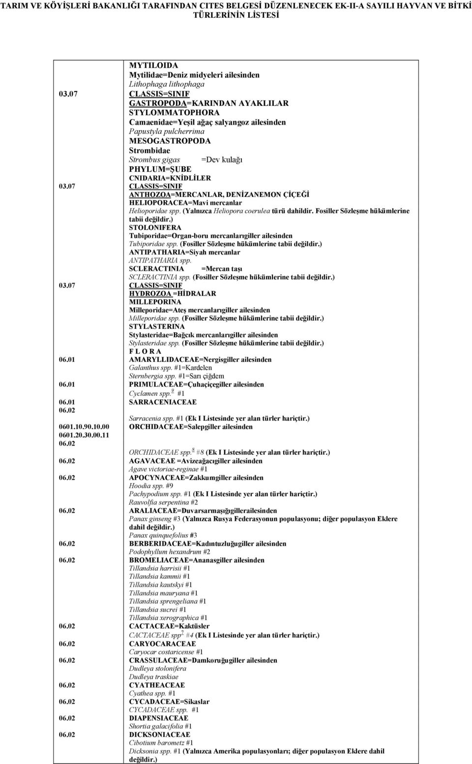 CNIDARIA=KNİDLİLER 03.07 CLASSIS=SINIF ANTHOZOA=MERCANLAR, DENİZANEMON ÇİÇEĞİ HELIOPORACEA=Mavi mercanlar Helioporidae spp. (Yalnızca Heliopora coerulea türü dahildir.