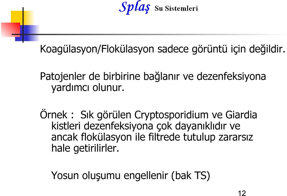 Örnek : Sık görülen Cryptosporidium ve Giardia kistleri dezenfeksiyona çok