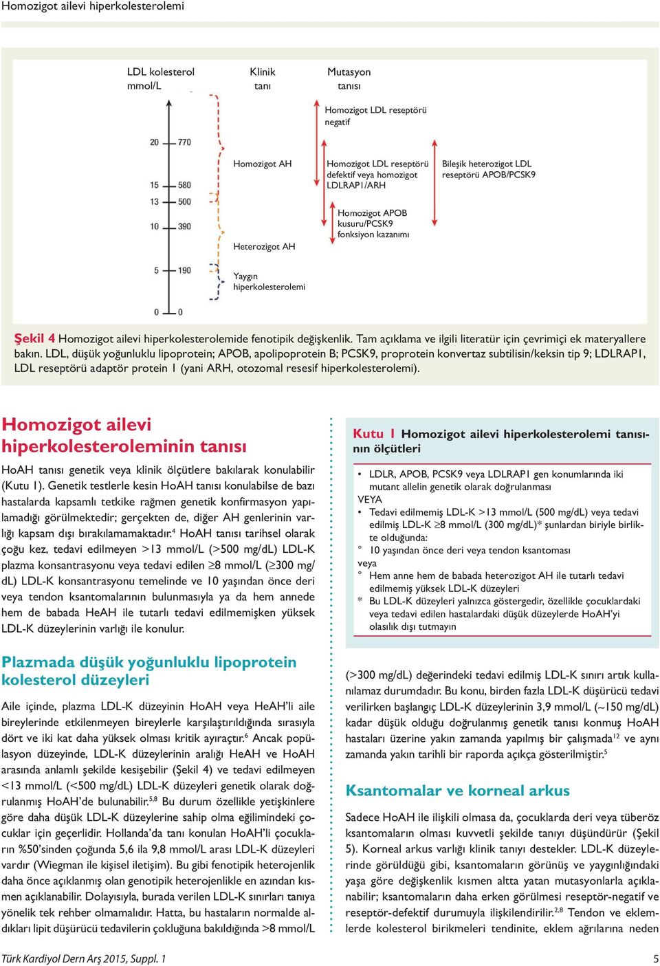 hiperkolesterolemi Şekil 4 Homozigot ailevi hiperkolesterolemide fenotipik değişkenlik. Tam açıklama ve ilgili literatür için çevrimiçi ek materyallere bakın.