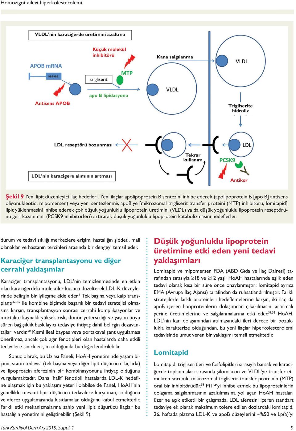 Yeni ilaçlar apolipoprotein B sentezini inhibe ederek (apolipoprotein B [apo B] antisens oligonükleotid, mipomersen) veya yeni sentezlenmiş apob ye [mikrozomal trigliserit transfer proteini (MTP)