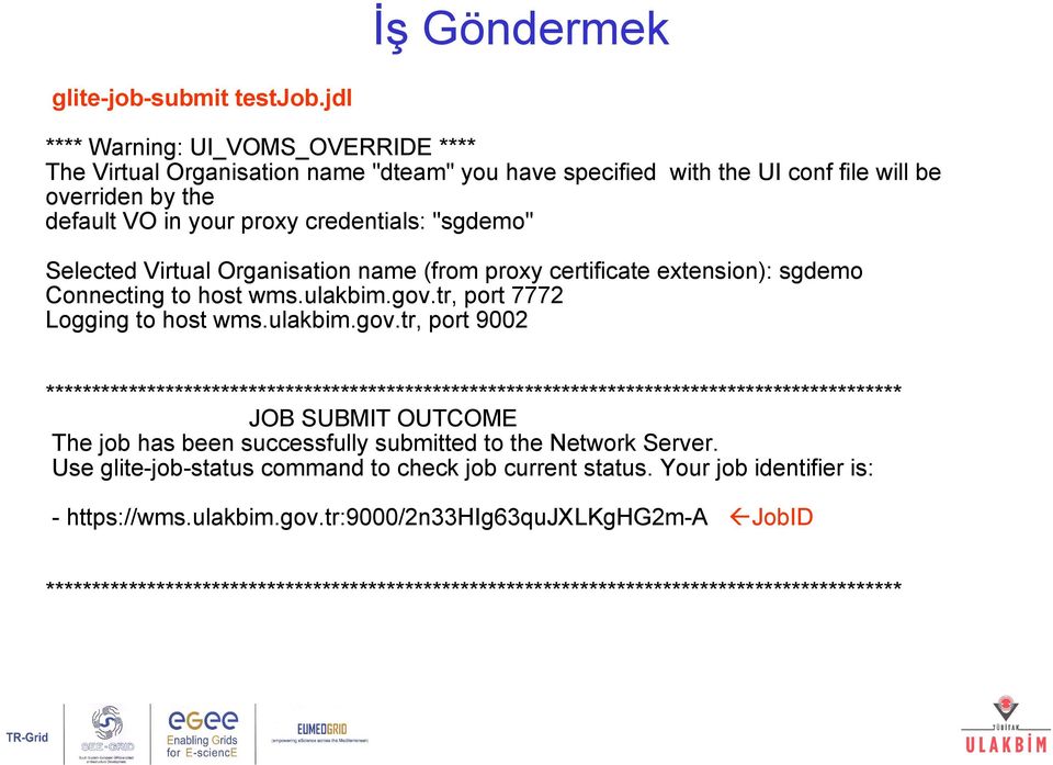 Virtual Organisation name (from proxy certificate extension): sgdemo Connecting to host wms.ulakbim.gov.