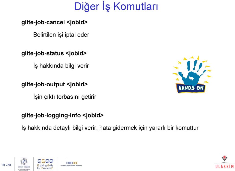 glite-job-output <jobid> İşin çıktı torbasını getirir