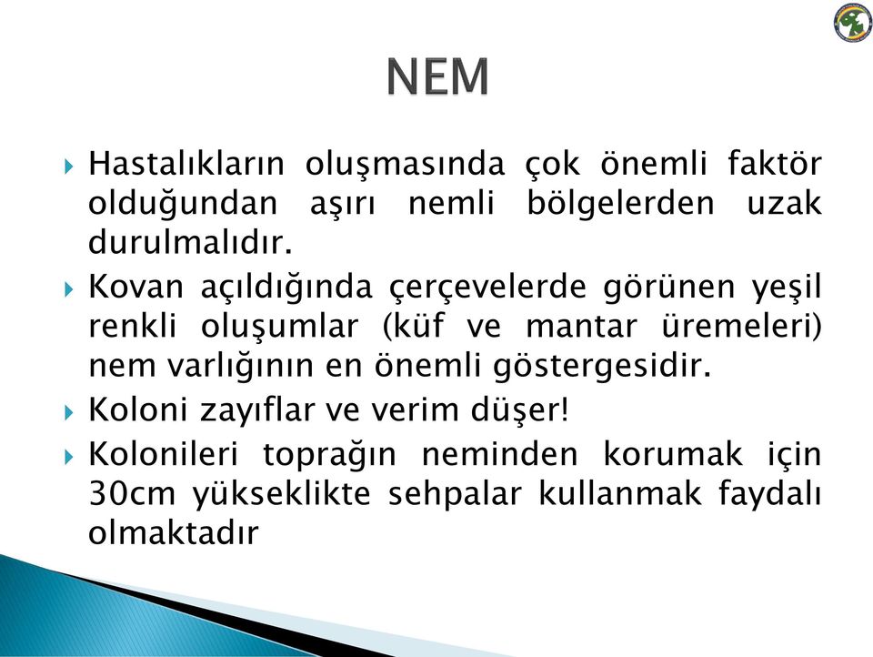 Kovan açıldığında çerçevelerde görünen yeşil renkli oluşumlar (küf ve mantar üremeleri)