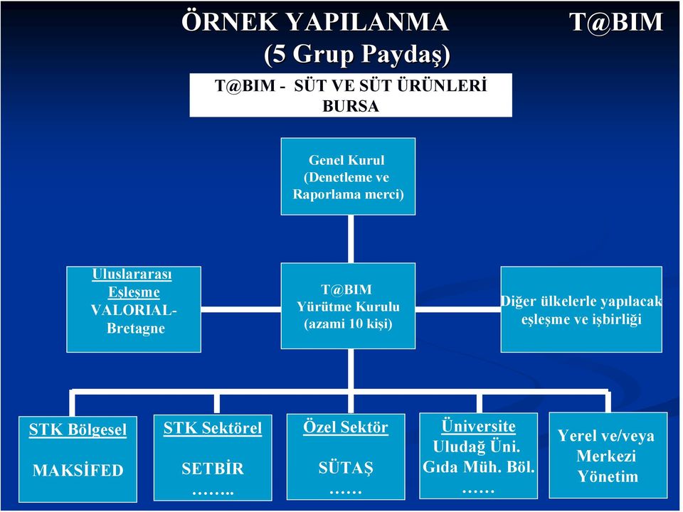 (azami 10 kişi) Diğer ülkelerle yapılacak eşleşme ve işbirliği STK Bölgesel MAKSİFED STK