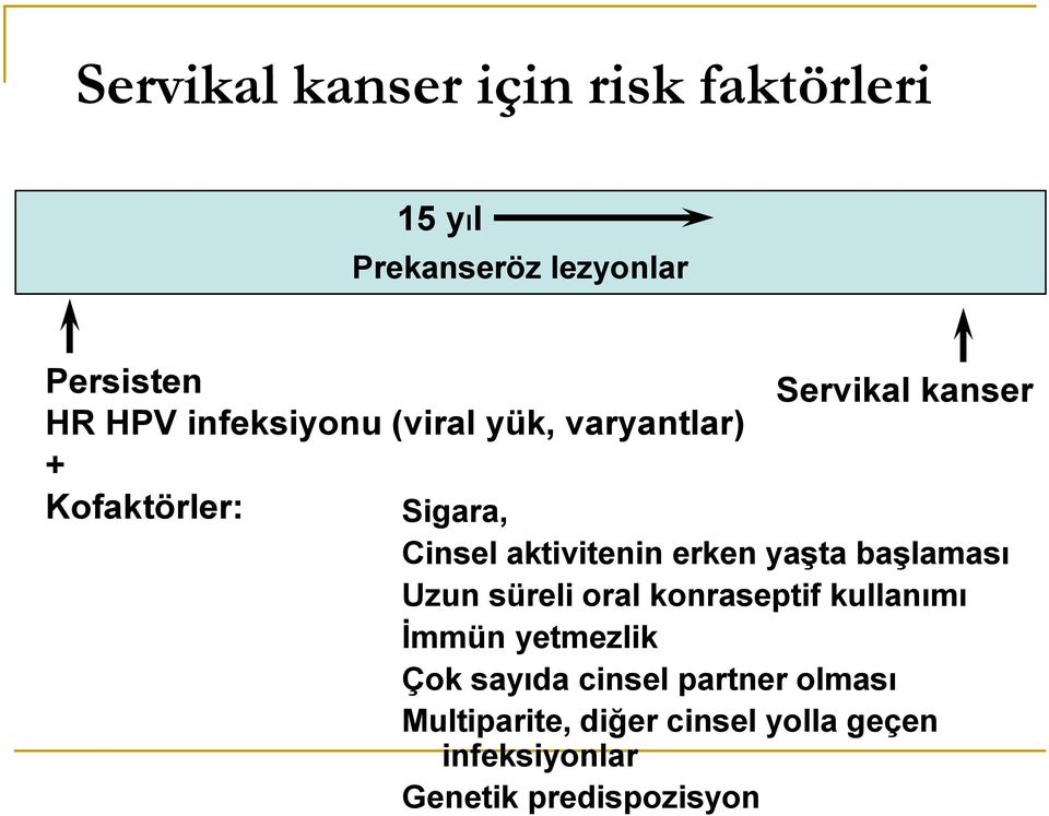 aktivitenin erken yaşta başlaması Uzun süreli oral konraseptif kullanımı İmmün yetmezlik