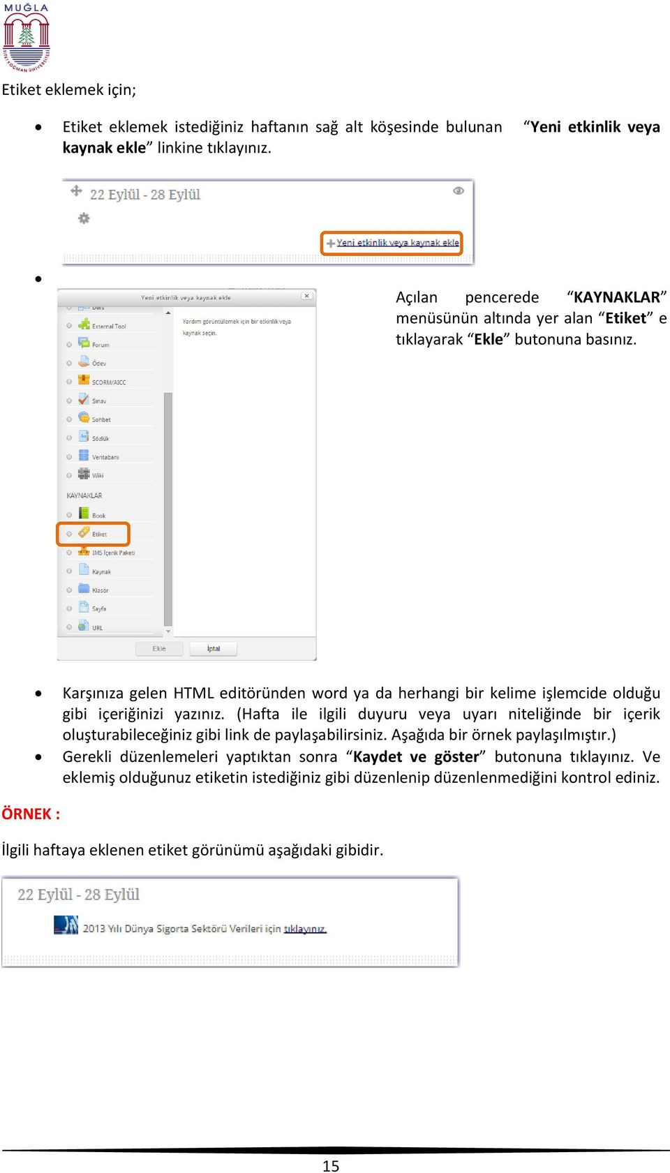 Karşınıza gelen HTML editöründen word ya da herhangi bir kelime işlemcide olduğu gibi içeriğinizi yazınız.