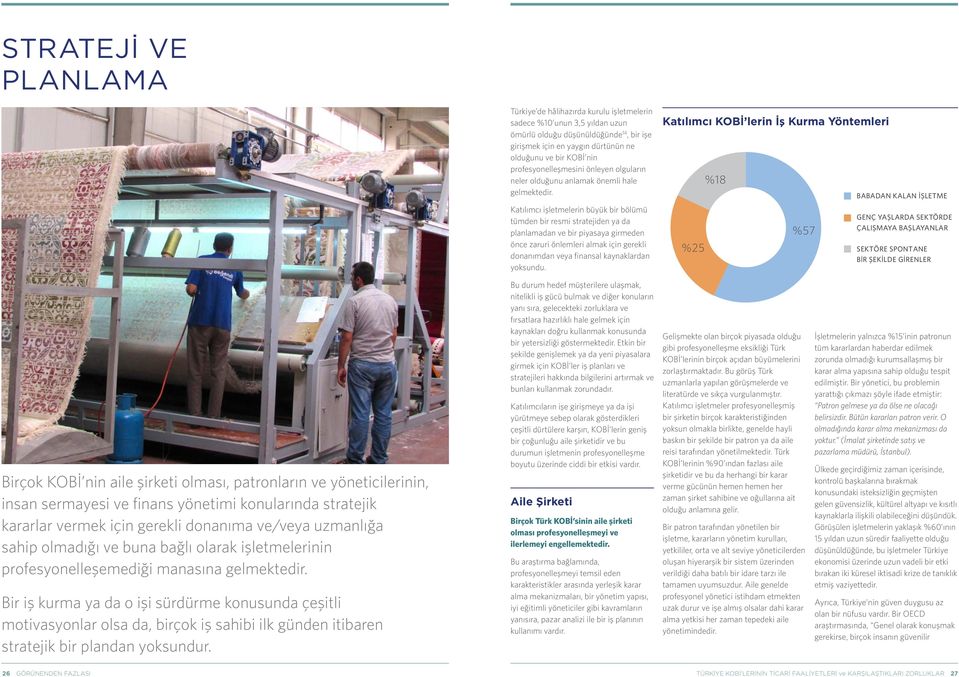 Katılımcı işletmelerin büyük bir bölümü tümden bir resmi stratejiden ya da planlamadan ve bir piyasaya girmeden önce zaruri önlemleri almak için gerekli donanımdan veya finansal kaynaklardan yoksundu.