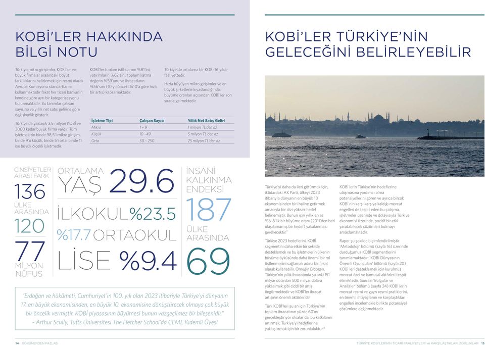 Bu tanımlar çalışan sayısına ve yıllık net satış gelirine göre değişkenlik gösterir. Türkiye'de yaklaşık 3,5 milyon KOBİ ve 3000 kadar büyük firma vardır.