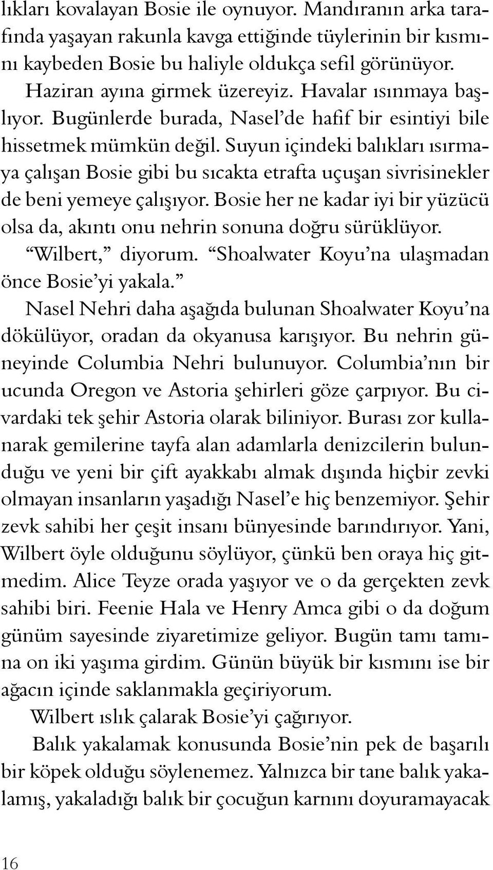 Suyun içindeki balıkları ısırmaya çalışan Bosie gibi bu sıcakta etrafta uçuşan sivrisinekler de beni yemeye çalışıyor.