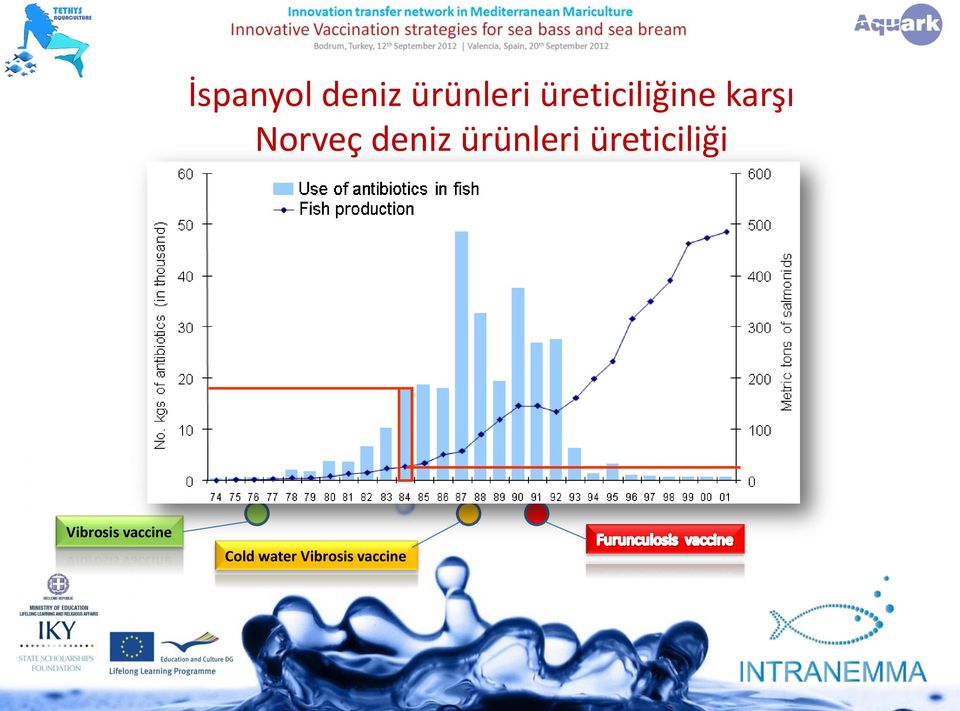 deniz ürünleri üreticiliği