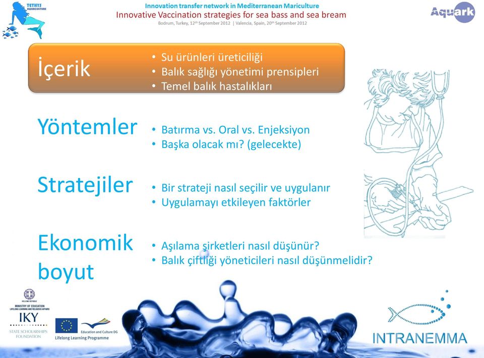 (gelecekte) Stratejiler Bir strateji nasıl seçilir ve uygulanır Uygulamayı etkileyen