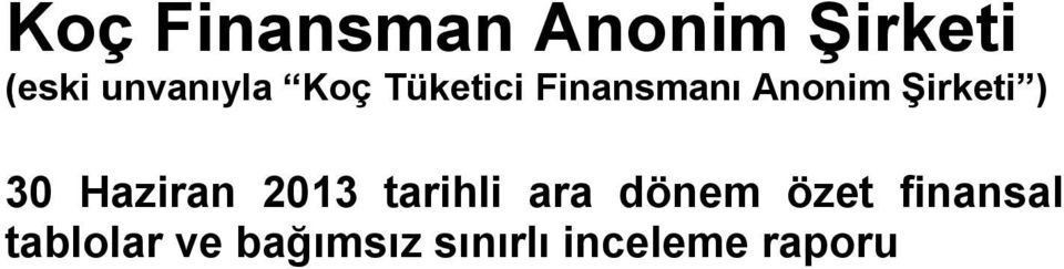 Haziran 2013 tarihli ara dönem özet finansal