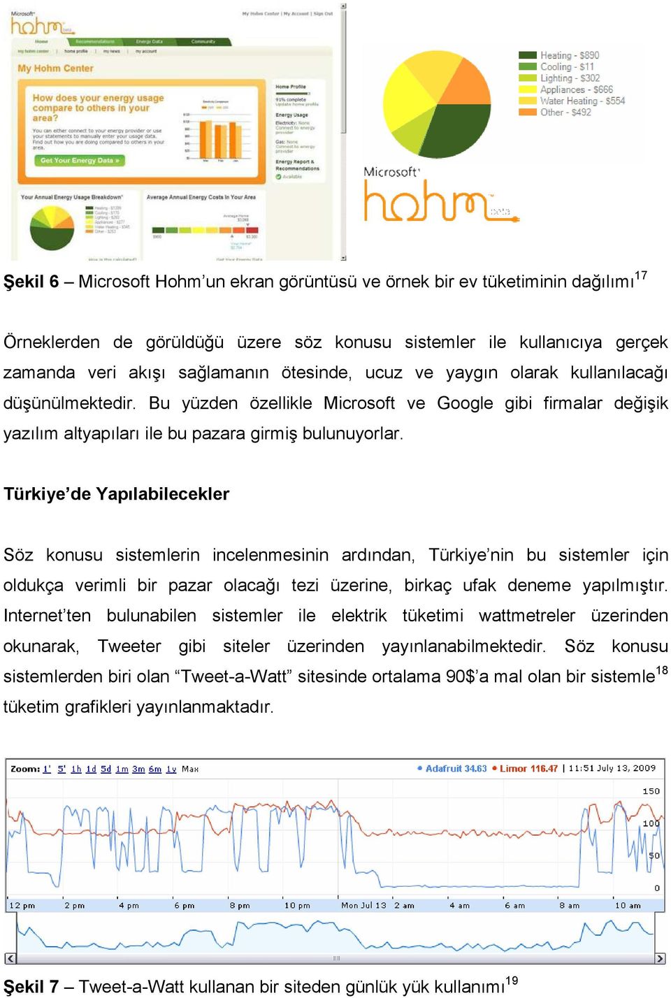 Türkiye de Yapılabilecekler Söz konusu sistemlerin incelenmesinin ardından, Türkiye nin bu sistemler için oldukça verimli bir pazar olacağı tezi üzerine, birkaç ufak deneme yapılmıştır.