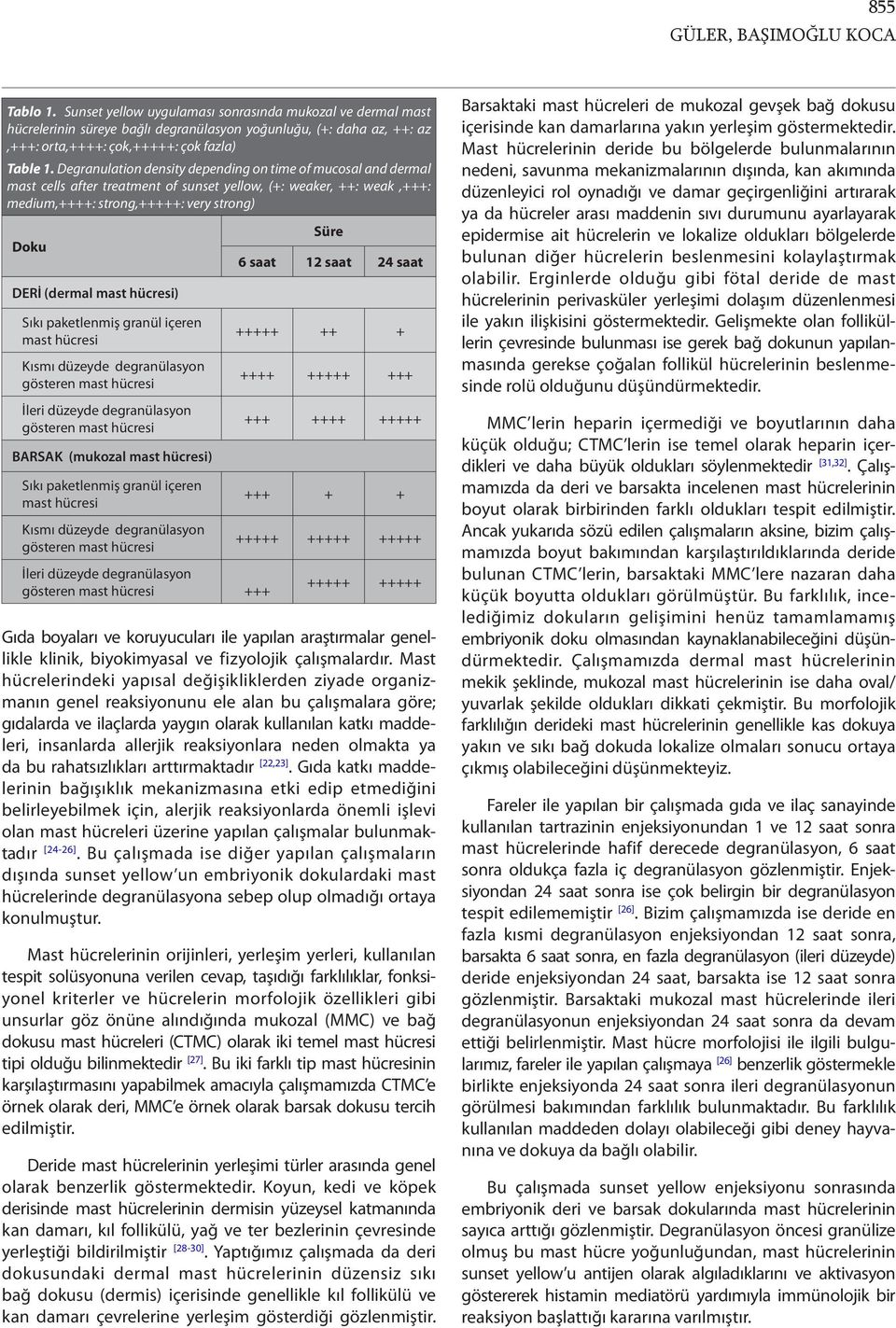 Degranulation density depending on time of mucosal and dermal mast cells after treatment of sunset yellow, (+: weaker, ++: weak,+++: medium,++++: strong,+++++: very strong) Doku DERİ (dermal mast