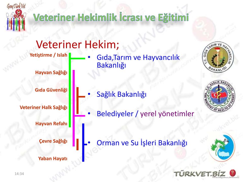 Hayvan Refahı Sağlık Bakanlığı Belediyeler / yerel yönetimler