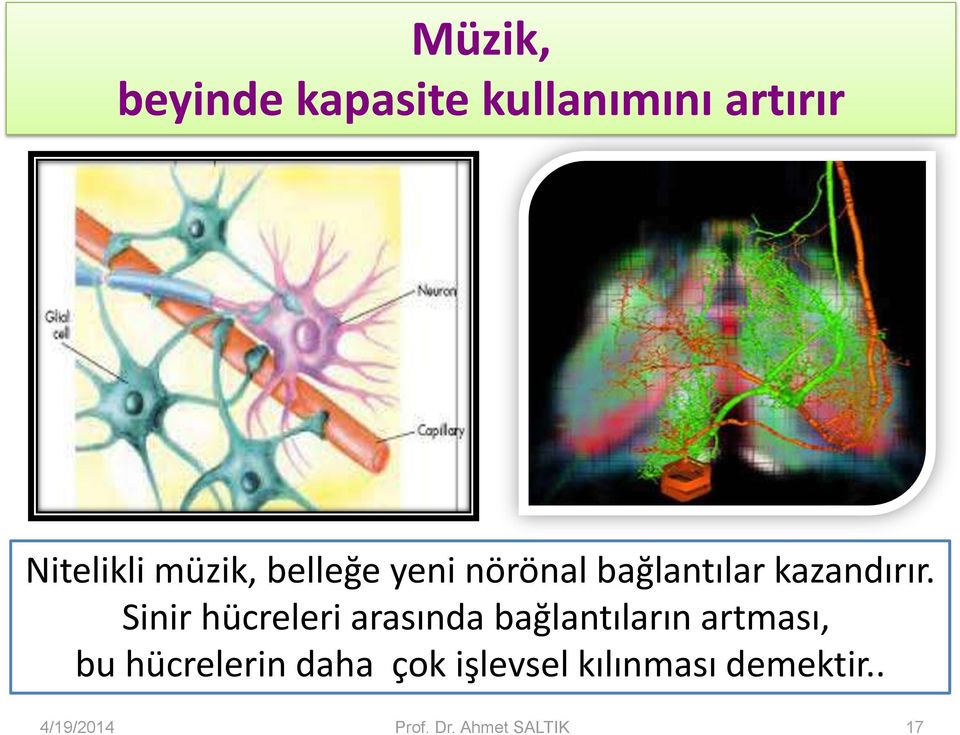 Sinir hücreleri arasında bağlantıların artması, bu