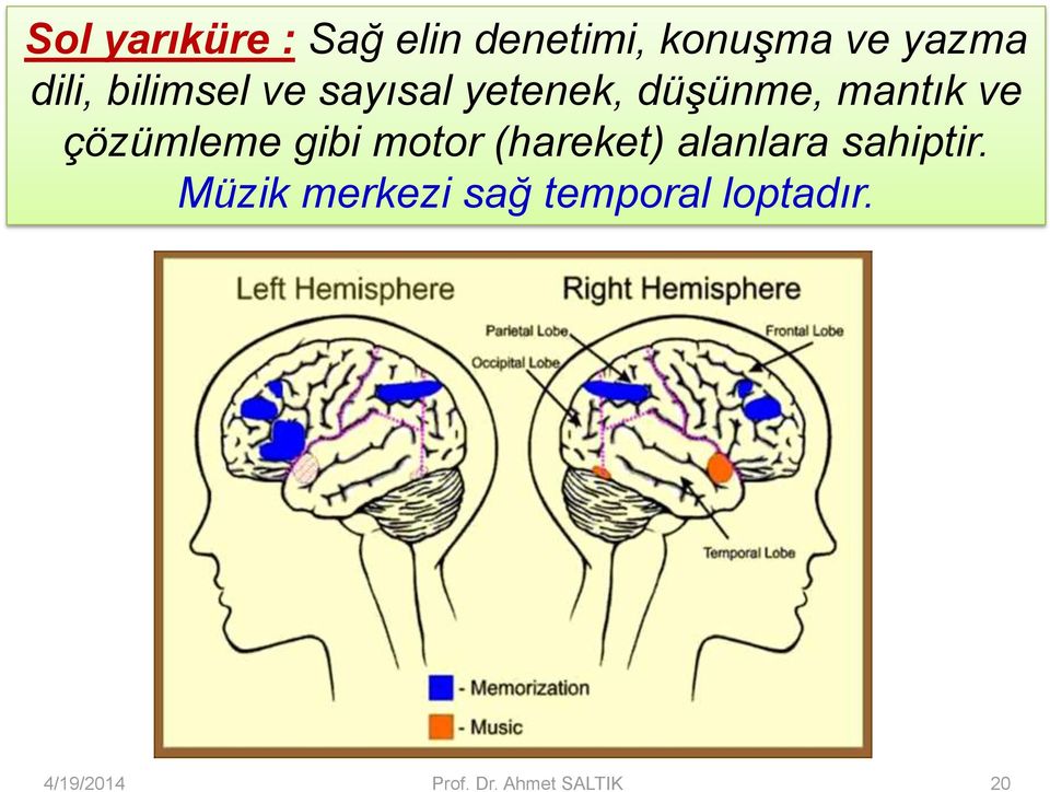 çözümleme gibi motor (hareket) alanlara sahiptir.