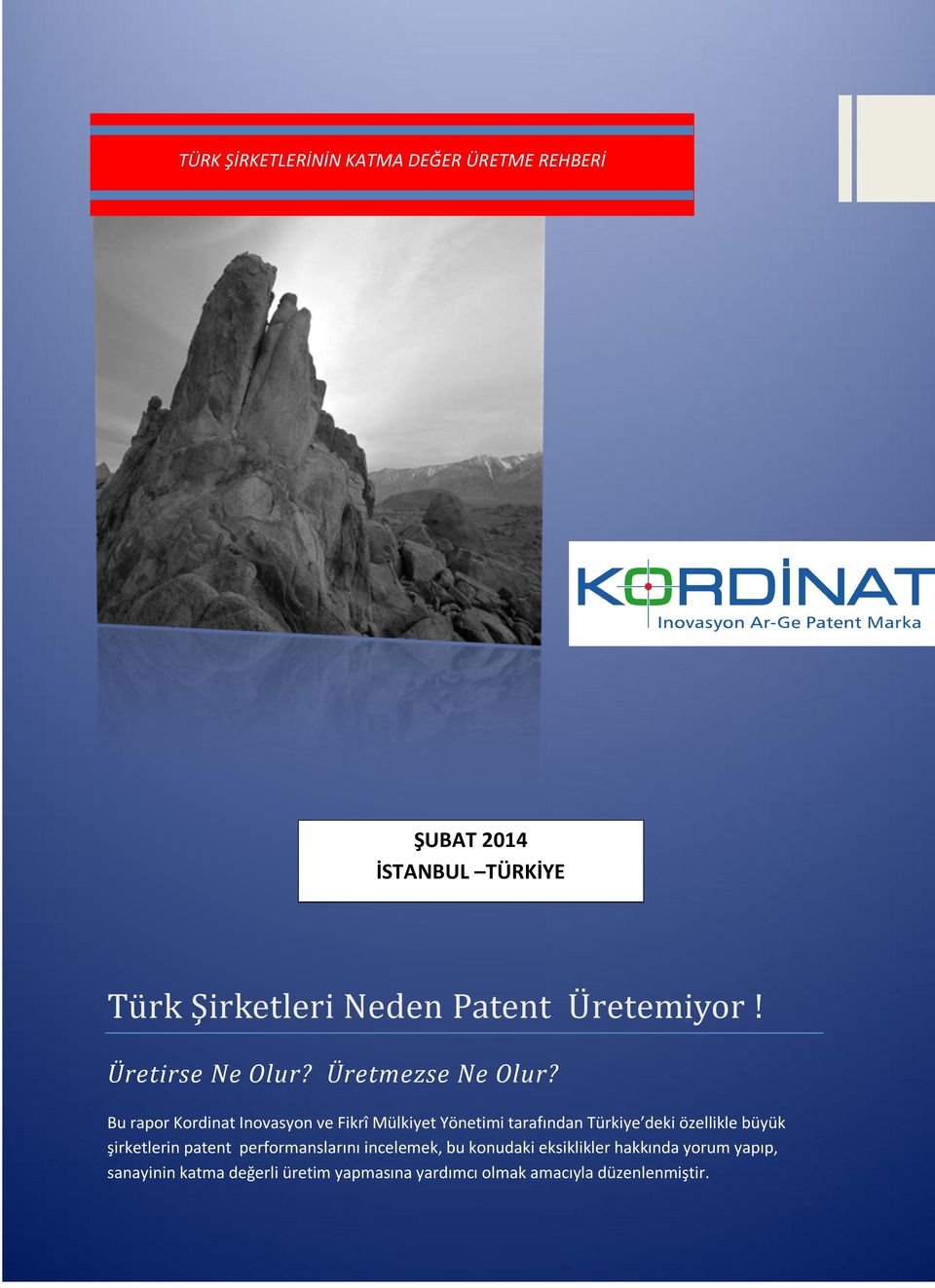 Bu rapor Kordinat Inovasyon ve Fikrî Mülkiyet Yönetimi tarafından Türkiye deki özellikle büyük