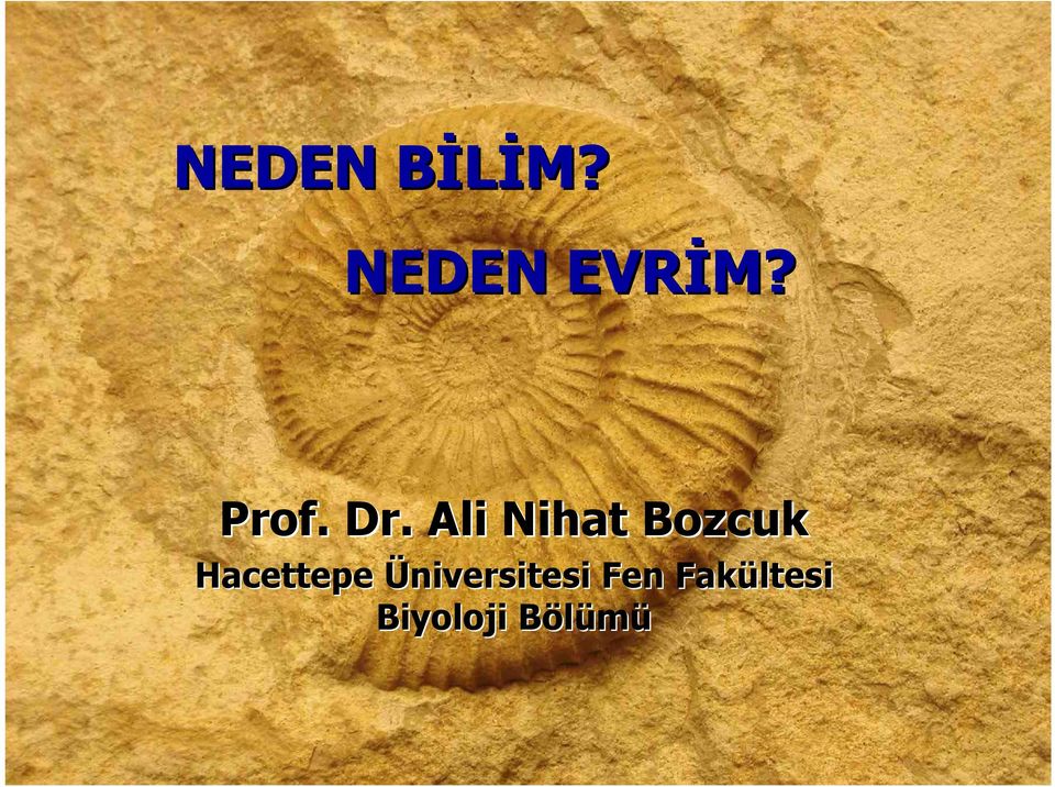 Ali Nihat Bozcuk Hacettepe