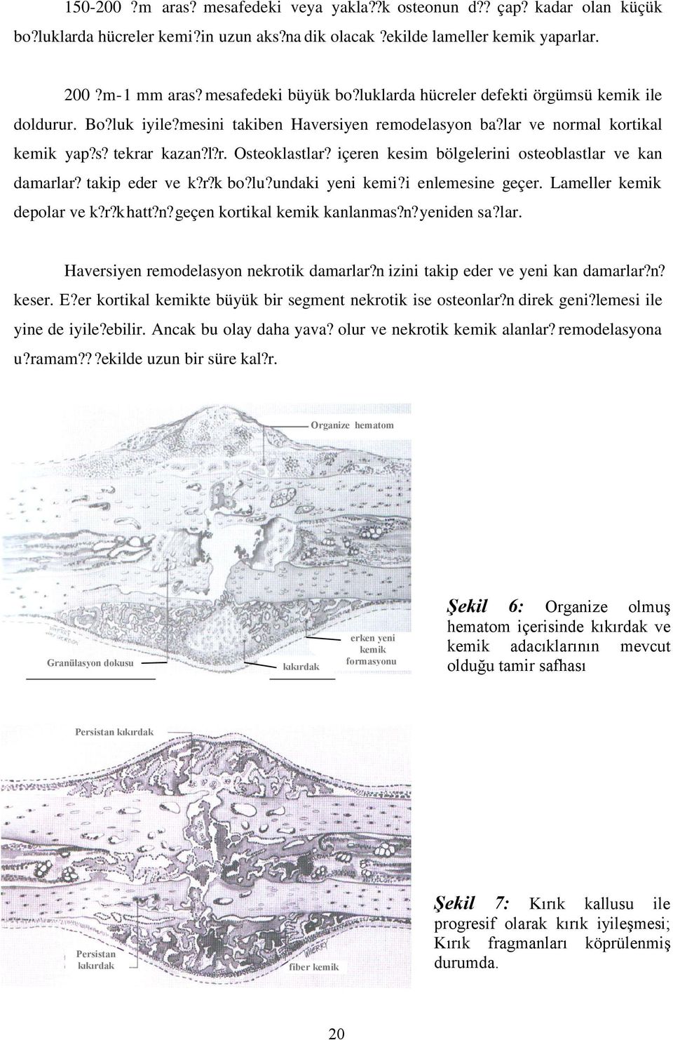 içeren kesim bölgelerini osteoblastlar ve kan damarlar? takip eder ve k?r?k bo?lu?undaki yeni kemi?i enlemesine geçer. Lameller kemik depolar ve k?r?k hatt?n? geçen kortikal kemik kanlanmas?n? yeniden sa?