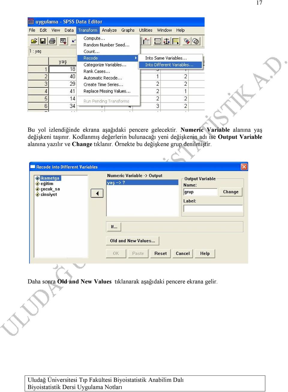 Kodlanmış değerlerin bulunacağı yeni değişkenin adı ise Output Variable alanına