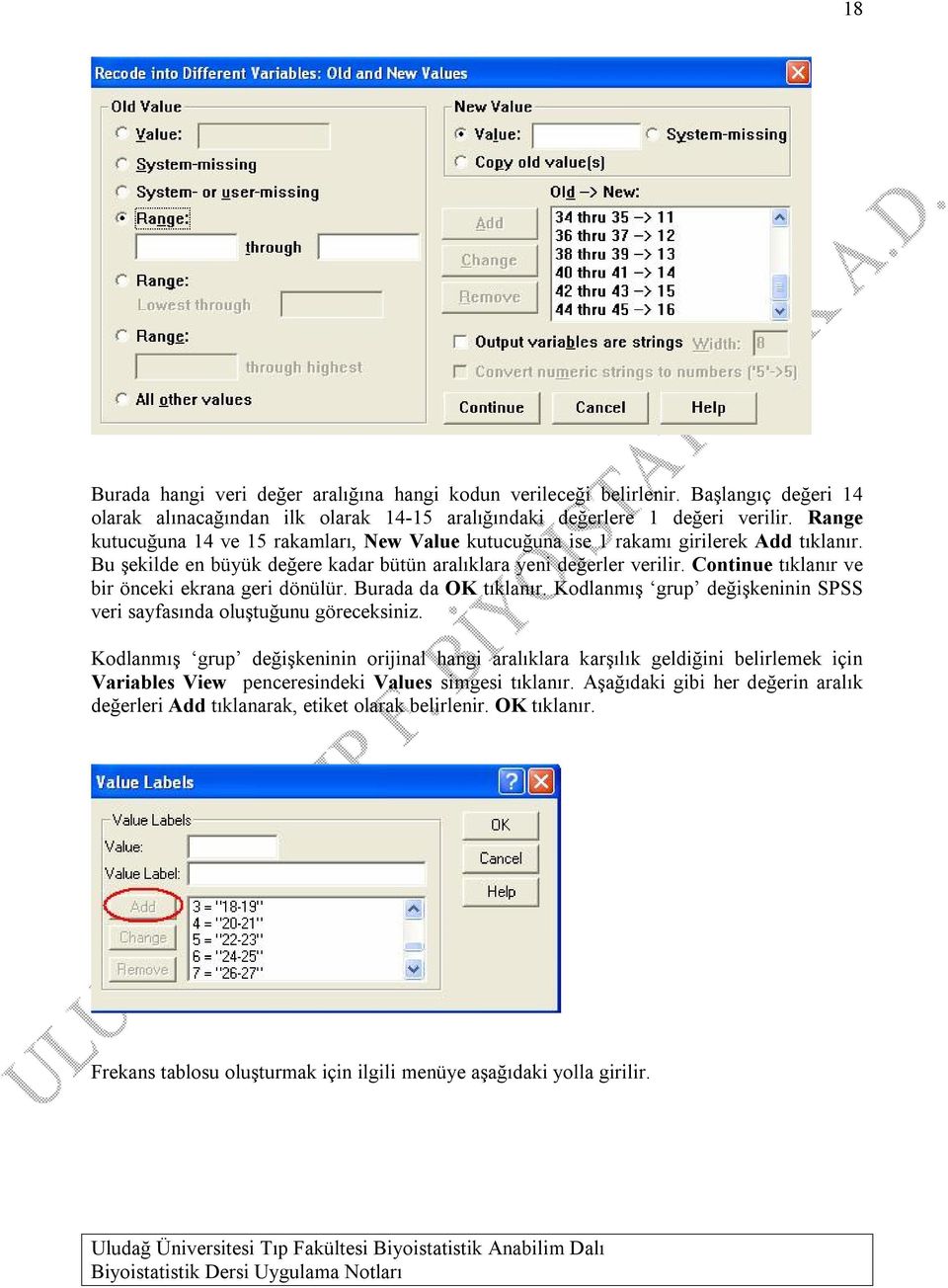 Continue tıklanır ve bir önceki ekrana geri dönülür. Burada da OK tıklanır. Kodlanmış grup değişkeninin SPSS veri sayfasında oluştuğunu göreceksiniz.