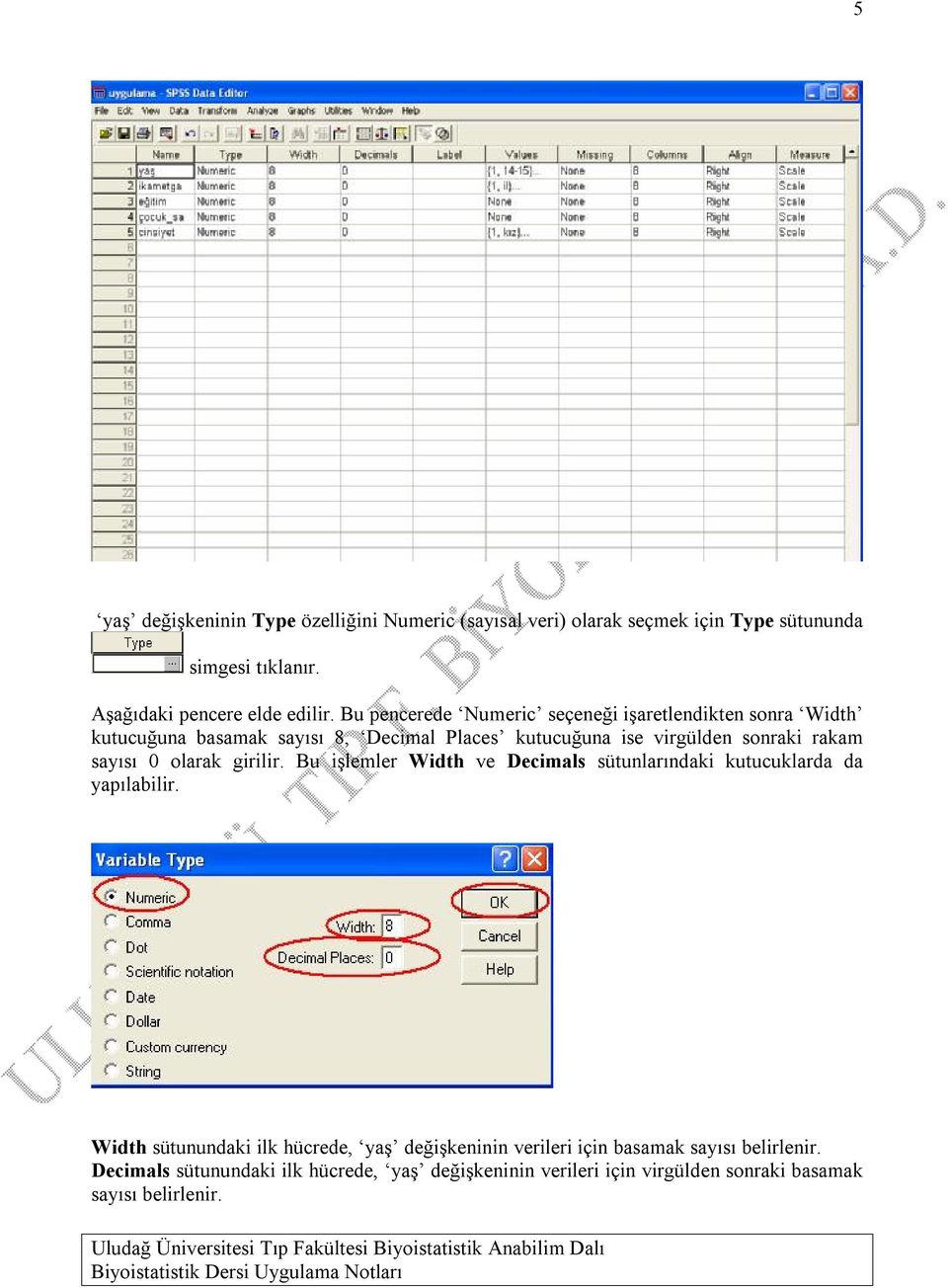 sayısı 0 olarak girilir. Bu işlemler Width ve Decimals sütunlarındaki kutucuklarda da yapılabilir.