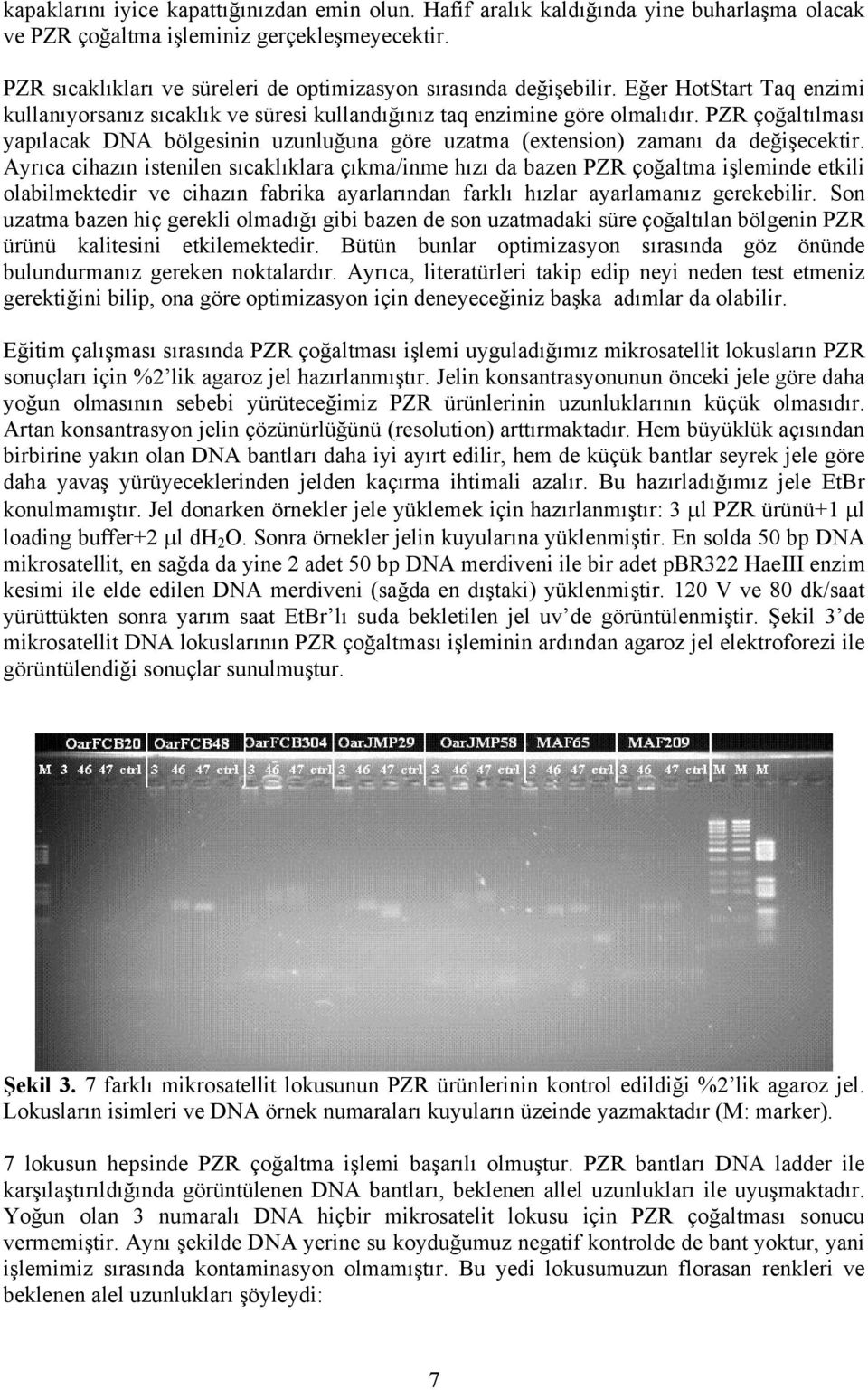 PZR çoğaltılması yapılacak DNA bölgesinin uzunluğuna göre uzatma (extension) zamanı da değişecektir.