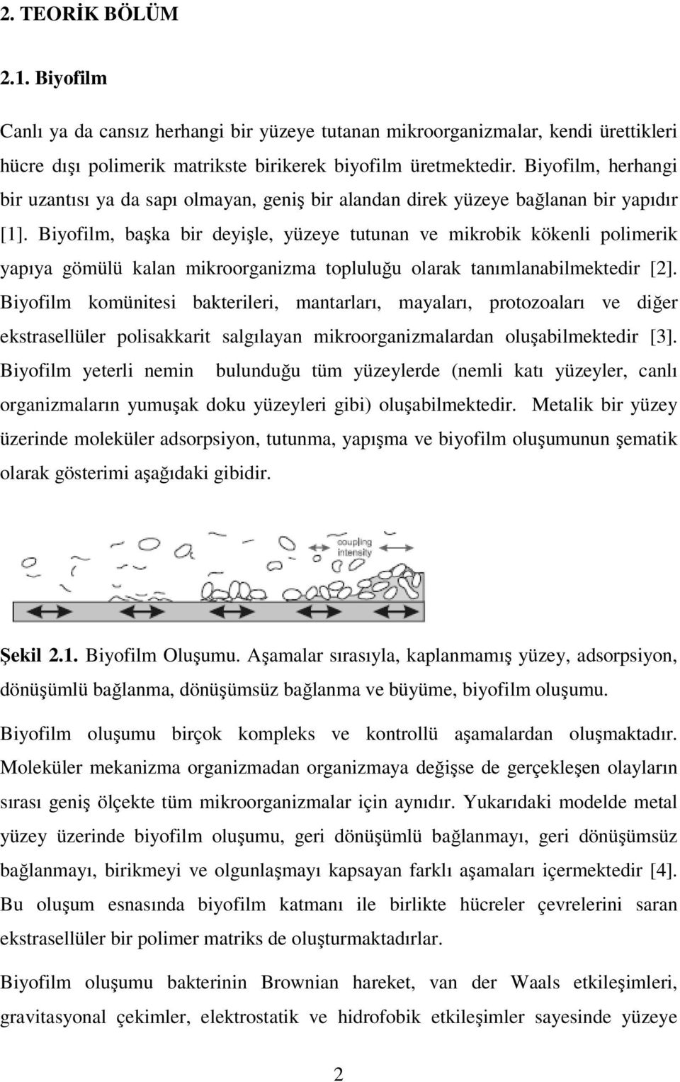 Biyofilm, başka bir deyişle, yüzeye tutunan ve mikrobik kökenli polimerik yapıya gömülü kalan mikroorganizma topluluğu olarak tanımlanabilmektedir [2].