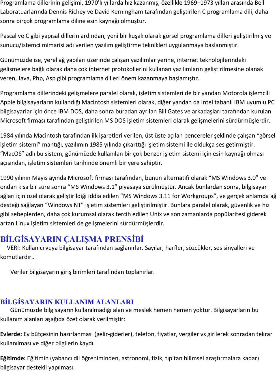 Pascal ve C gibi yapısal dillerin ardından, yeni bir kuşak olarak görsel programlama dilleri geliştirilmiş ve sunucu/istemci mimarisi adı verilen yazılım geliştirme teknikleri uygulanmaya