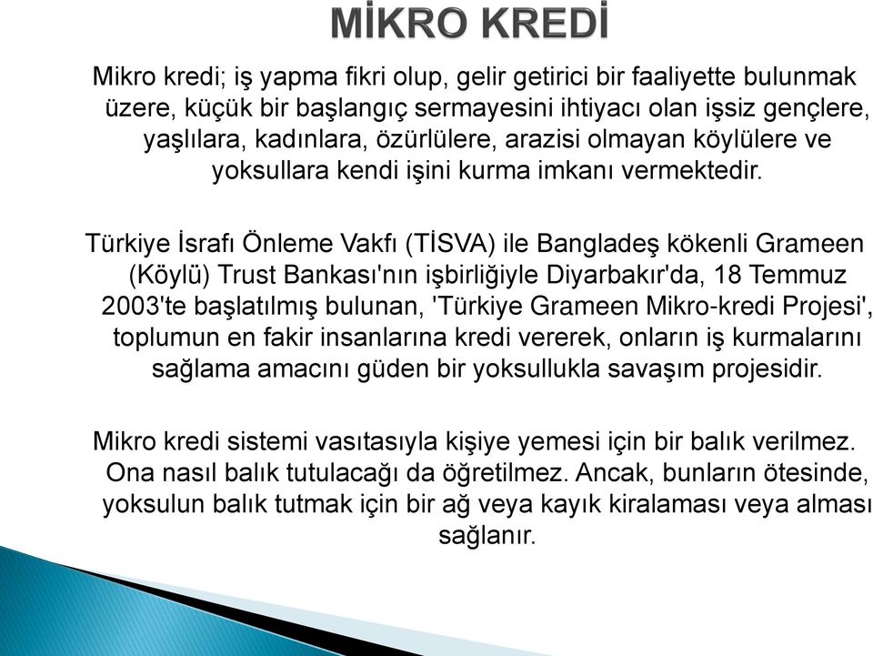 Türkiye İsrafı Önleme Vakfı (TİSVA) ile Bangladeş kökenli Grameen (Köylü) Trust Bankası'nın işbirliğiyle Diyarbakır'da, 18 Temmuz 2003'te başlatılmış bulunan, 'Türkiye Grameen Mikro-kredi Projesi',