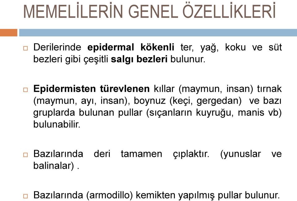 gergedan) ve bazı gruplarda bulunan pullar (sıçanların kuyruğu, manis vb) bulunabilir.