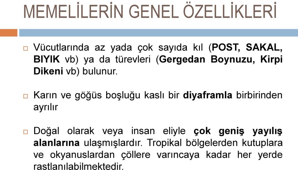 Karın ve göğüs boşluğu kaslı bir diyaframla birbirinden ayrılır Doğal olarak veya insan