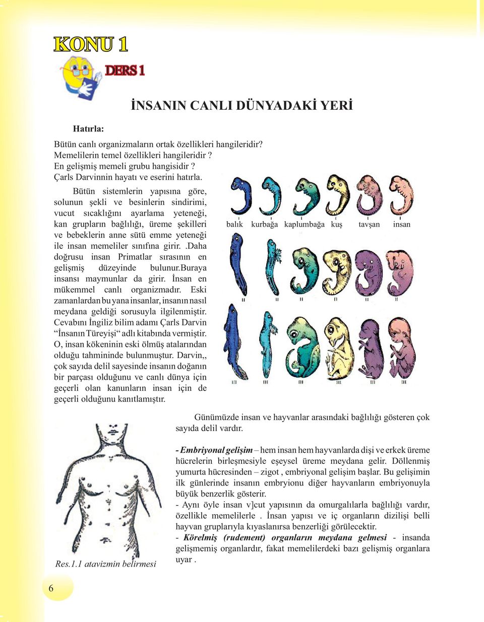 Bütün sistemlerin yap s na göre, solunun ekli ve besinlerin sindirimi, vucut s cakl n ayarlama yetene i, kan gruplar n ba l l, üreme ekilleri bal k kurba a kaplumba a ku ve bebeklerin anne sütü emme