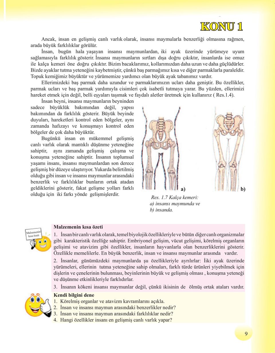 nsans maymunlar n s rtlar d a do ru ç k kt r, insanlarda ise omuz ile kalça kemeri öne do ru ç k kt r. Bizim bacaklar m z, kollar m zdan daha uzun ve daha güçlüdürler.