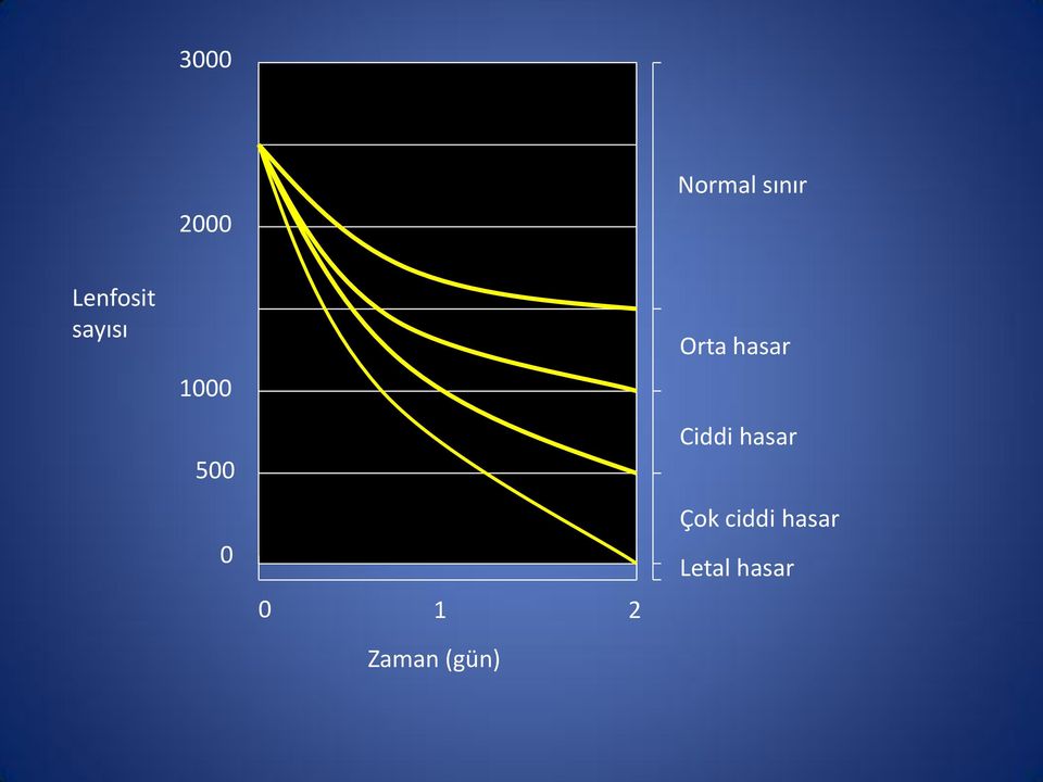 hasar Ciddi hasar 0 0 1 2