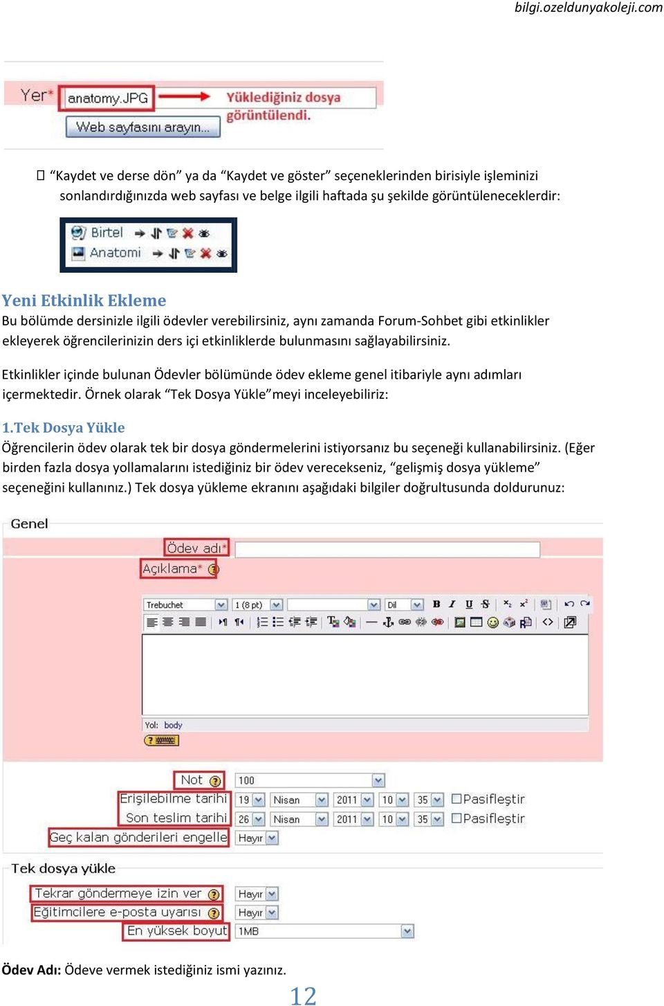 Etkinlikler içinde bulunan Ödevler bölümünde ödev ekleme genel itibariyle aynı adımları içermektedir. Örnek olarak Tek Dosya Yükle meyi inceleyebiliriz: 1.