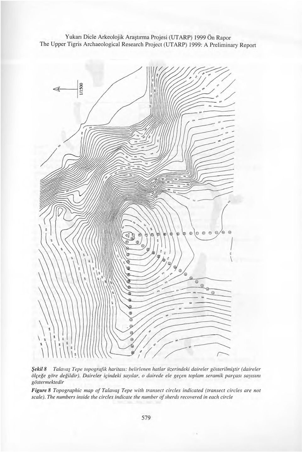 Daireler igindeki saydar, o dairede ele gegen toplam seramik pargasi sayisini gostermektedir Figure 8 Topographic map of Talavas Tepe with