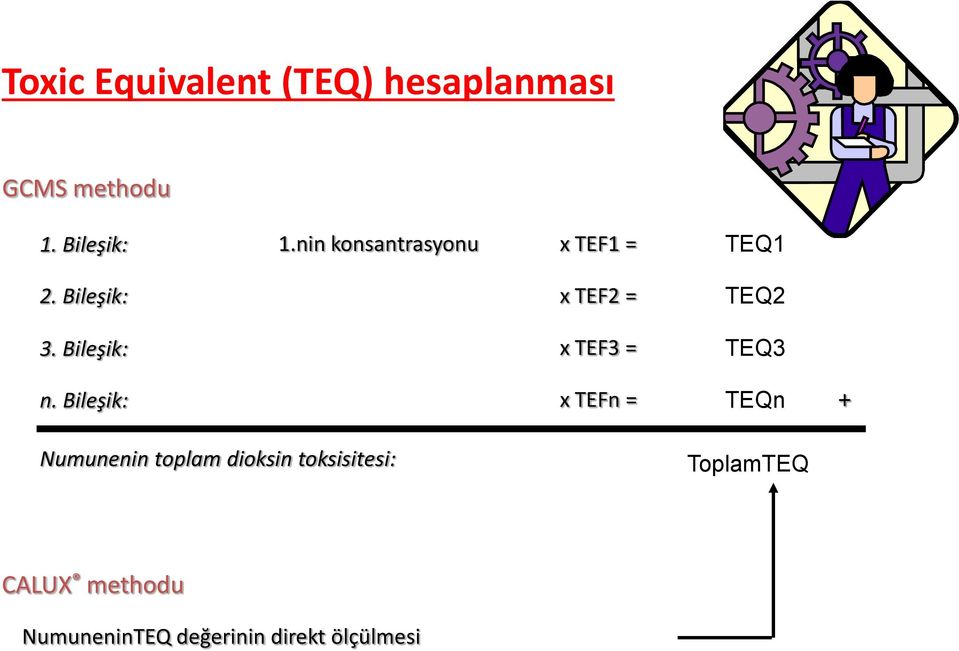 Bileşik: x TEF2 = x TEF3 = TEQ2 TEQ3 n.