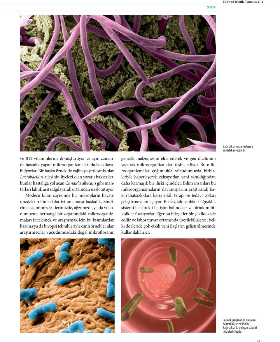 tutuyor. Modern bilim sayesinde bu mikropların hayatı mızdaki rolünü daha iyi anlamaya başladık.
