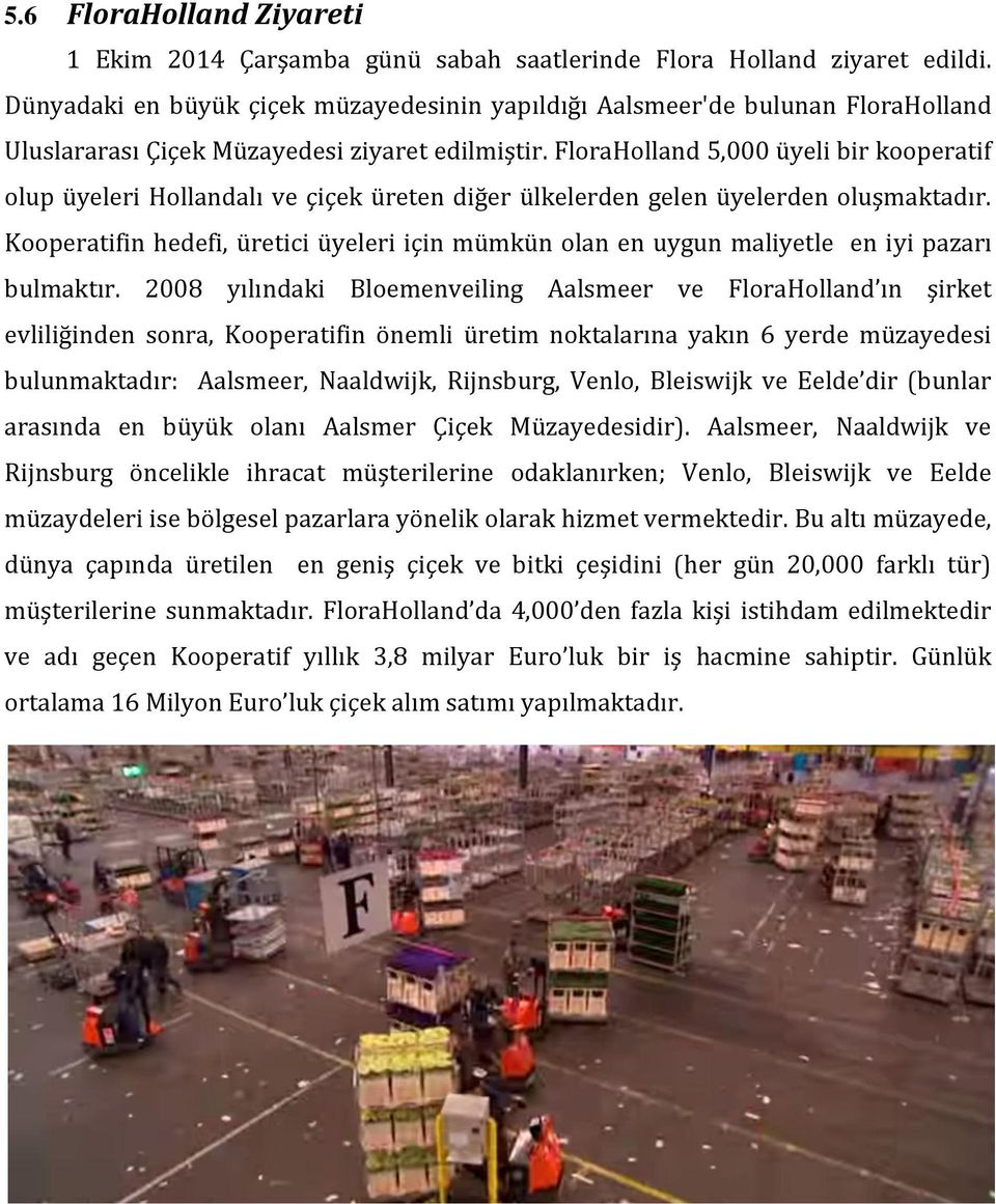 FloraHolland 5,000 üyeli bir kooperatif olup üyeleri Hollandalı ve çiçek üreten diğer ülkelerden gelen üyelerden oluşmaktadır.